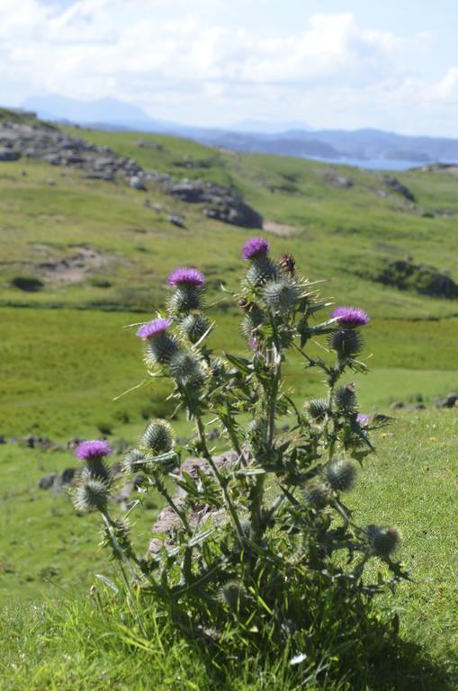 Villa Highland Holiday House Durness Exterior foto